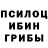 Псилоцибиновые грибы Psilocybe Anak Lanang