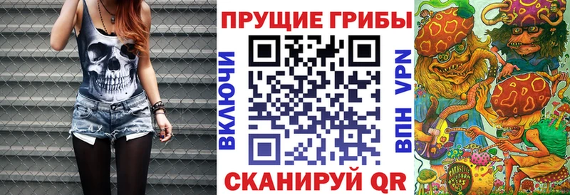 omg онион  Сураж  Псилоцибиновые грибы Psilocybine cubensis 